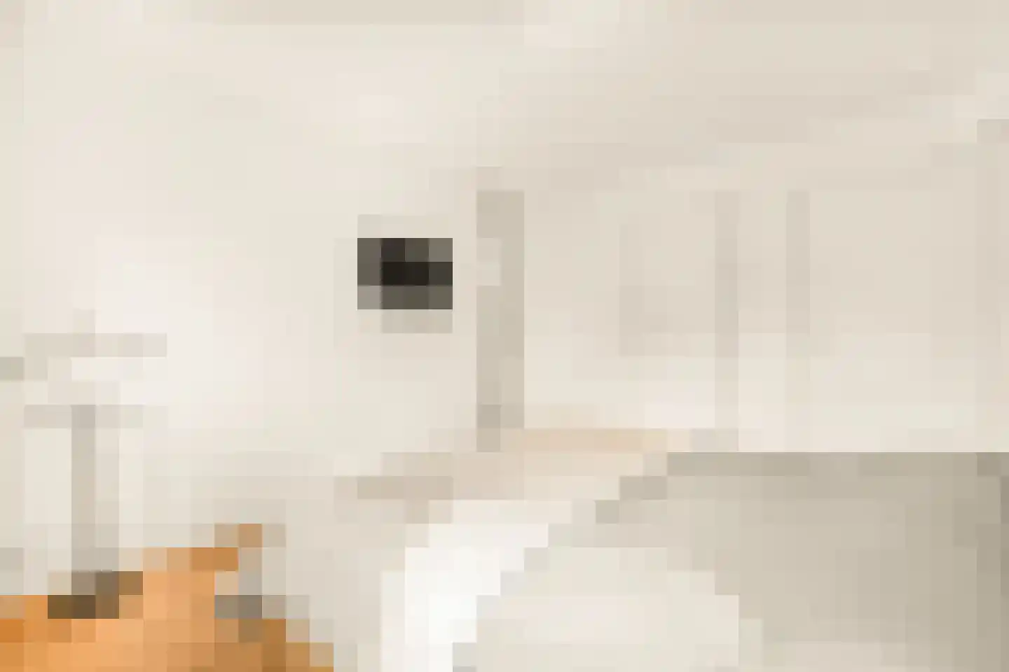 Aaltje Noordewierlaan 22 Bussum thumbnail 22