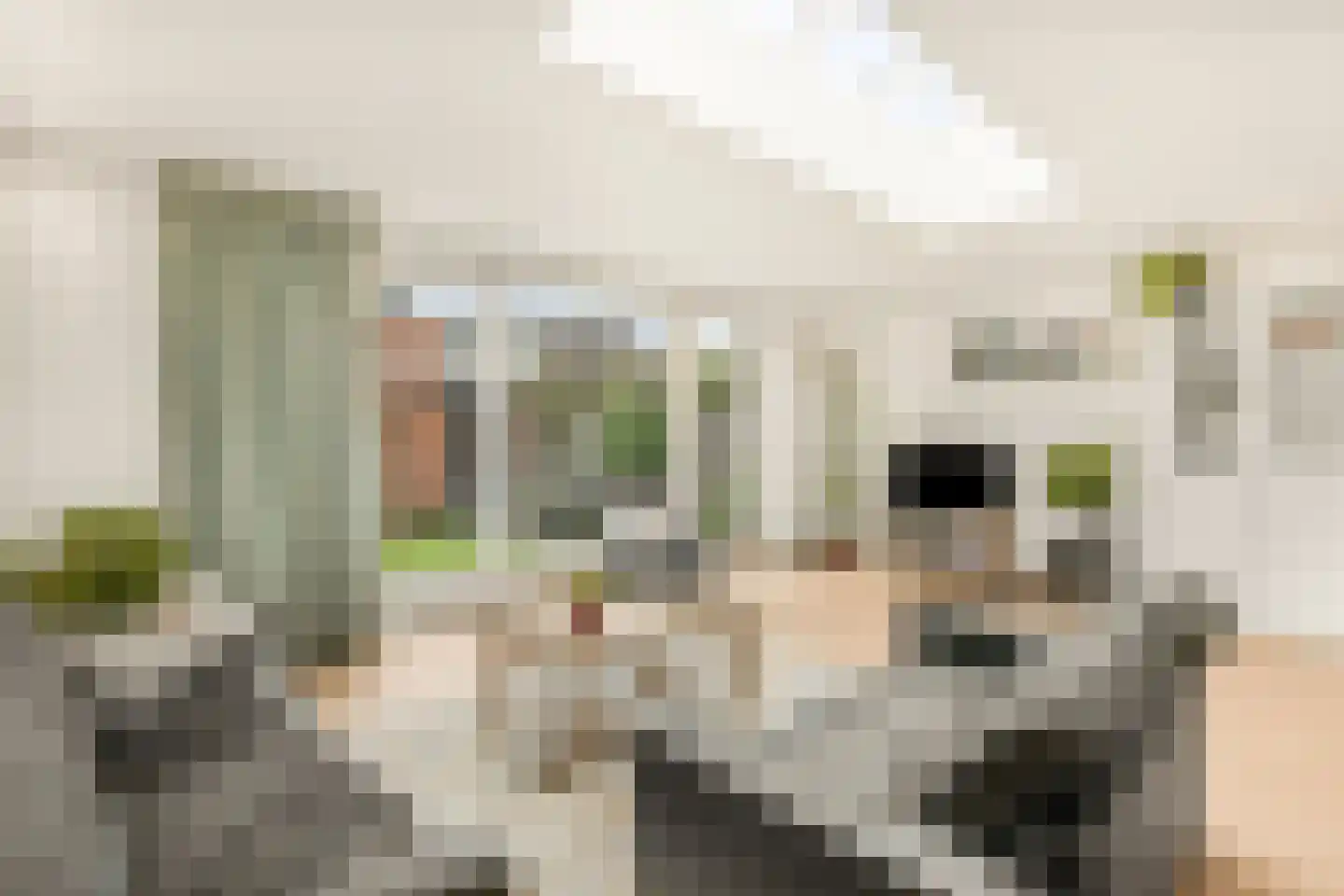 Aaltje Noordewierlaan 22 Bussum thumbnail 9