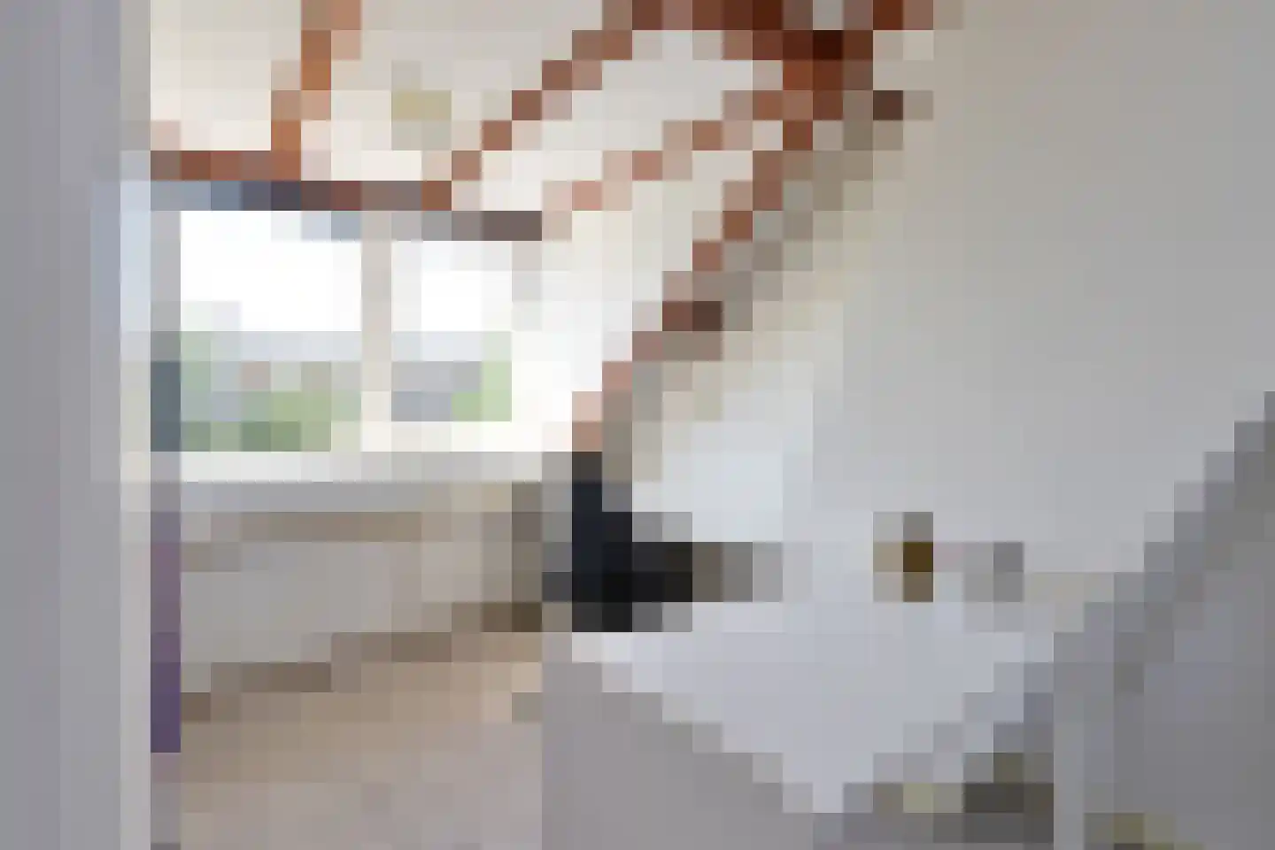 Aaltje Noordewierlaan 58 Bussum thumbnail 11