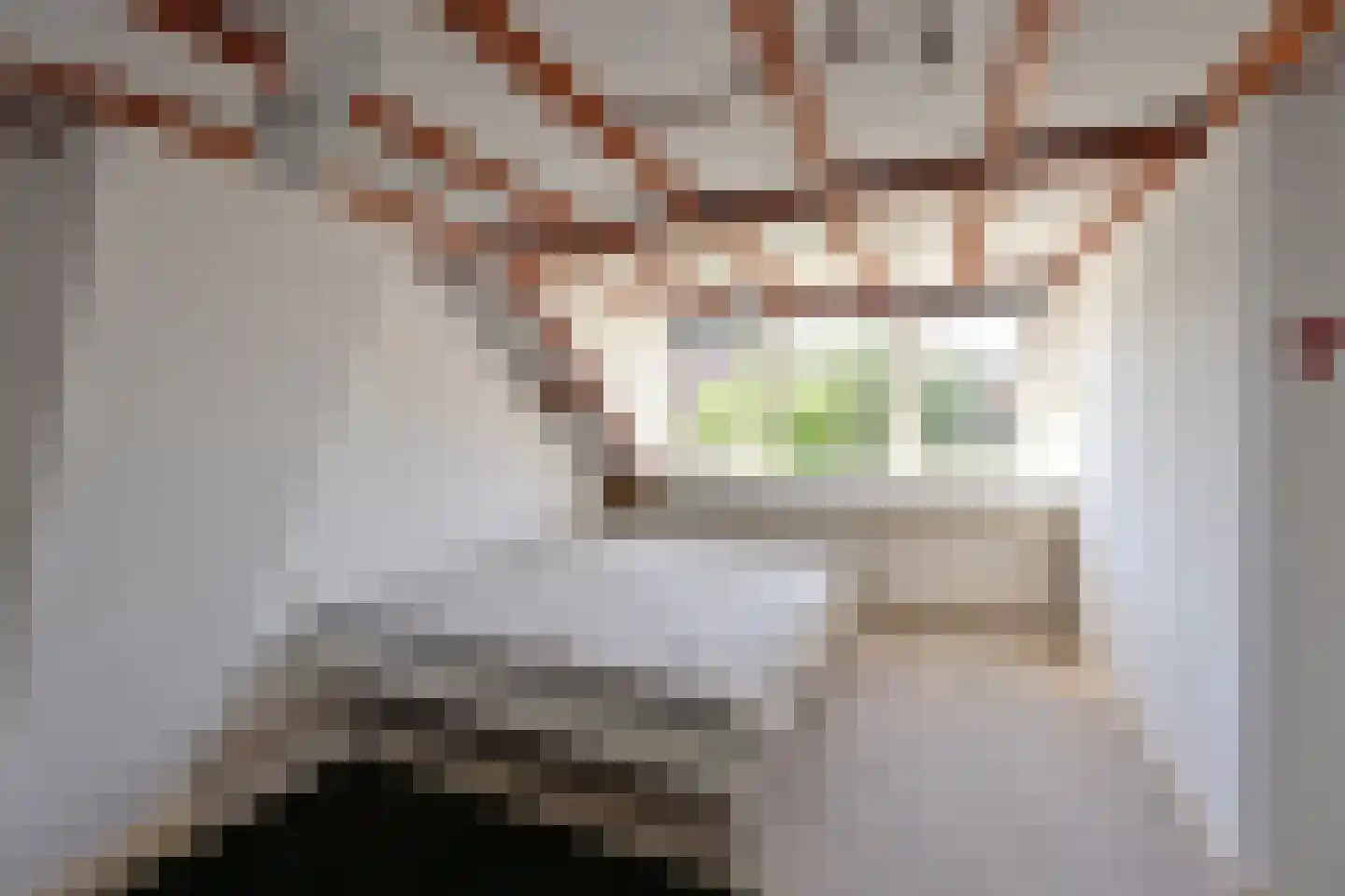 Aaltje Noordewierlaan 58 Bussum thumbnail 12