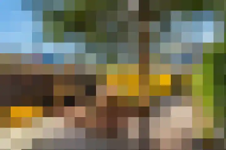 Aaltje Noordewierlaan 76 Bussum thumbnail 28