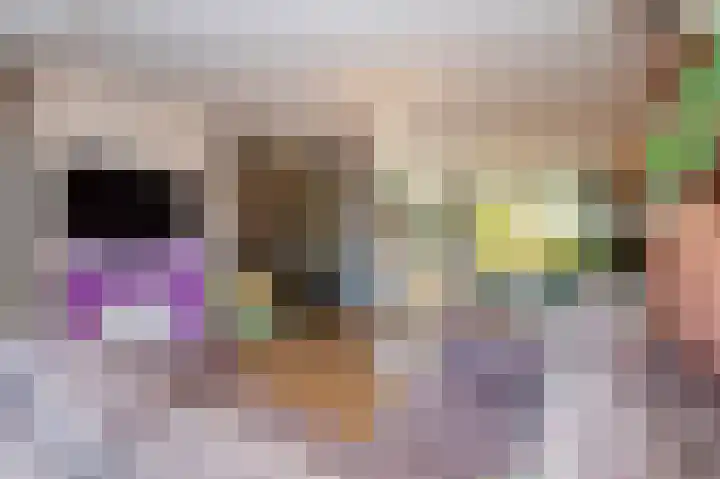 Aaltje Noordewierlaan 76 Bussum thumbnail 5