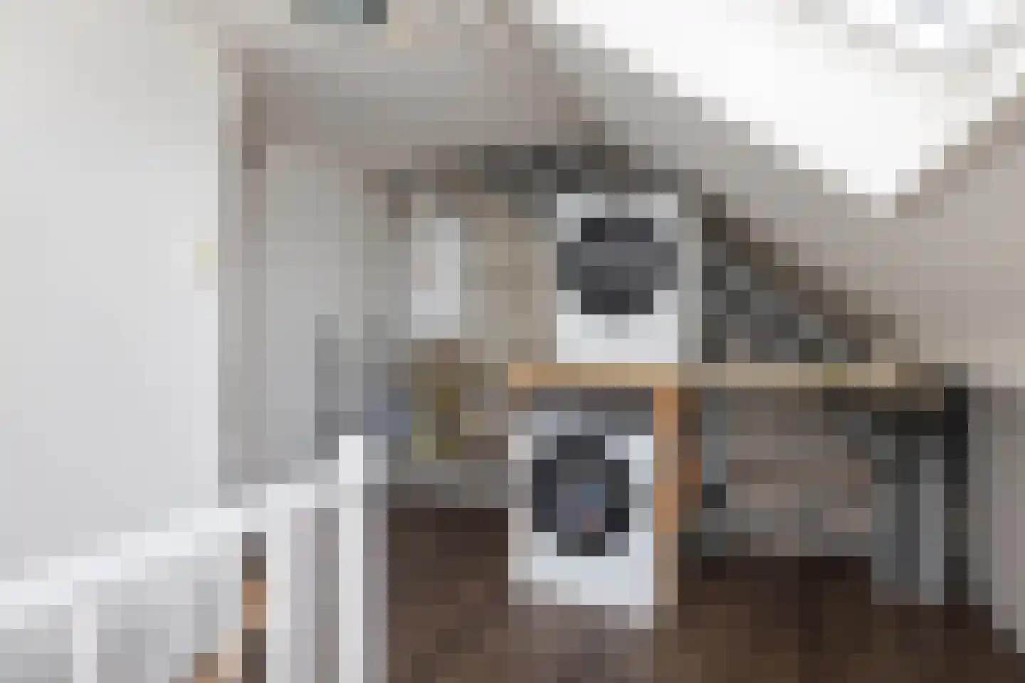 Aaltje Noordewierstraat 117 Hengelo thumbnail 23