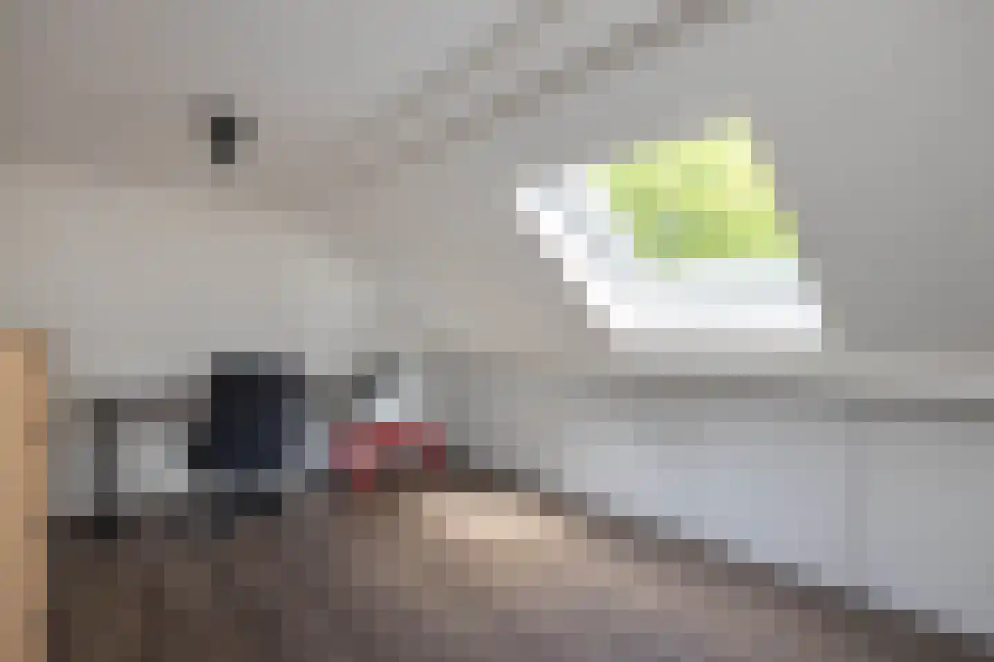 Aaltje Noordewierstraat 117 Hengelo thumbnail 25