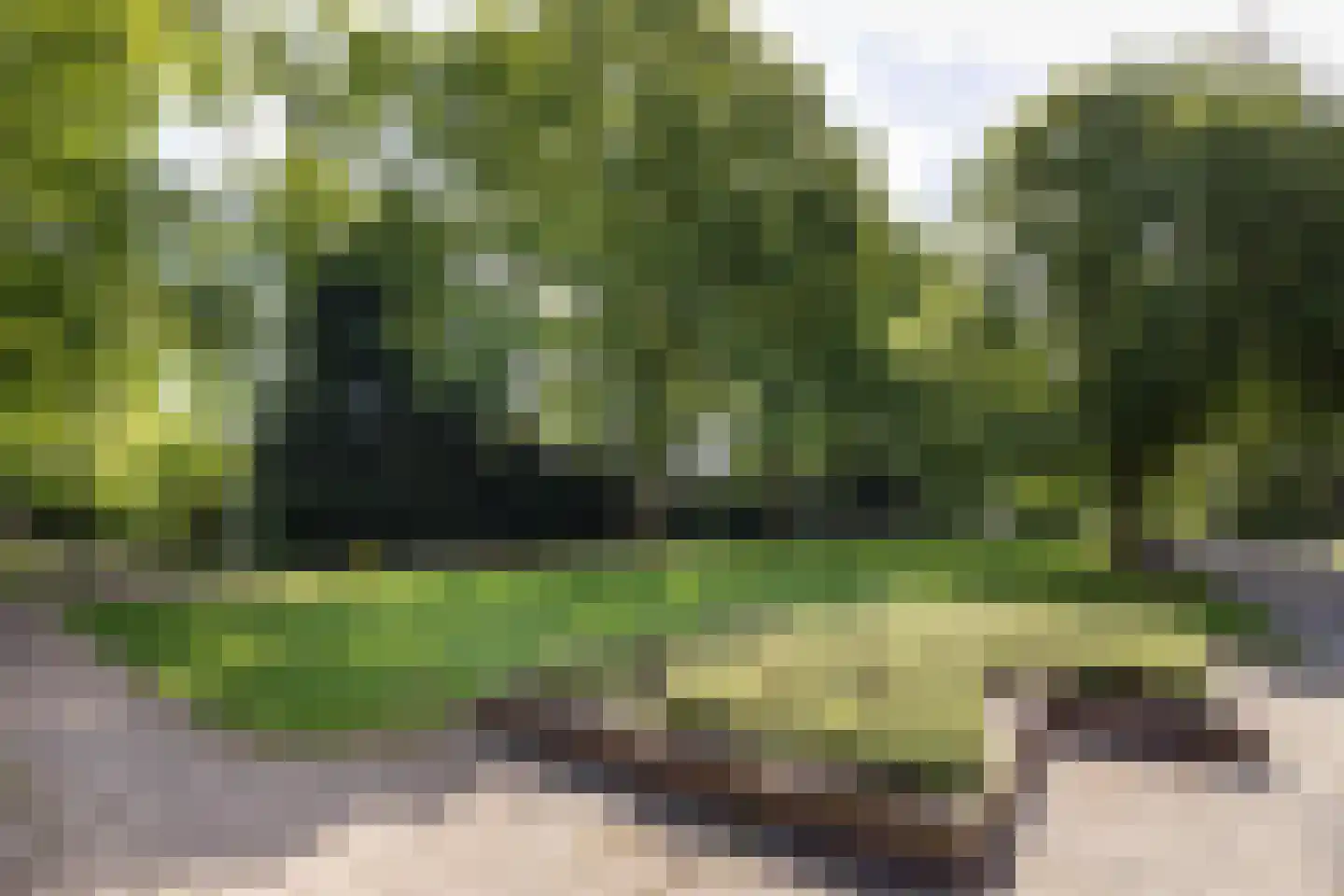 Aaltje Noordewierstraat 117 Hengelo thumbnail 34