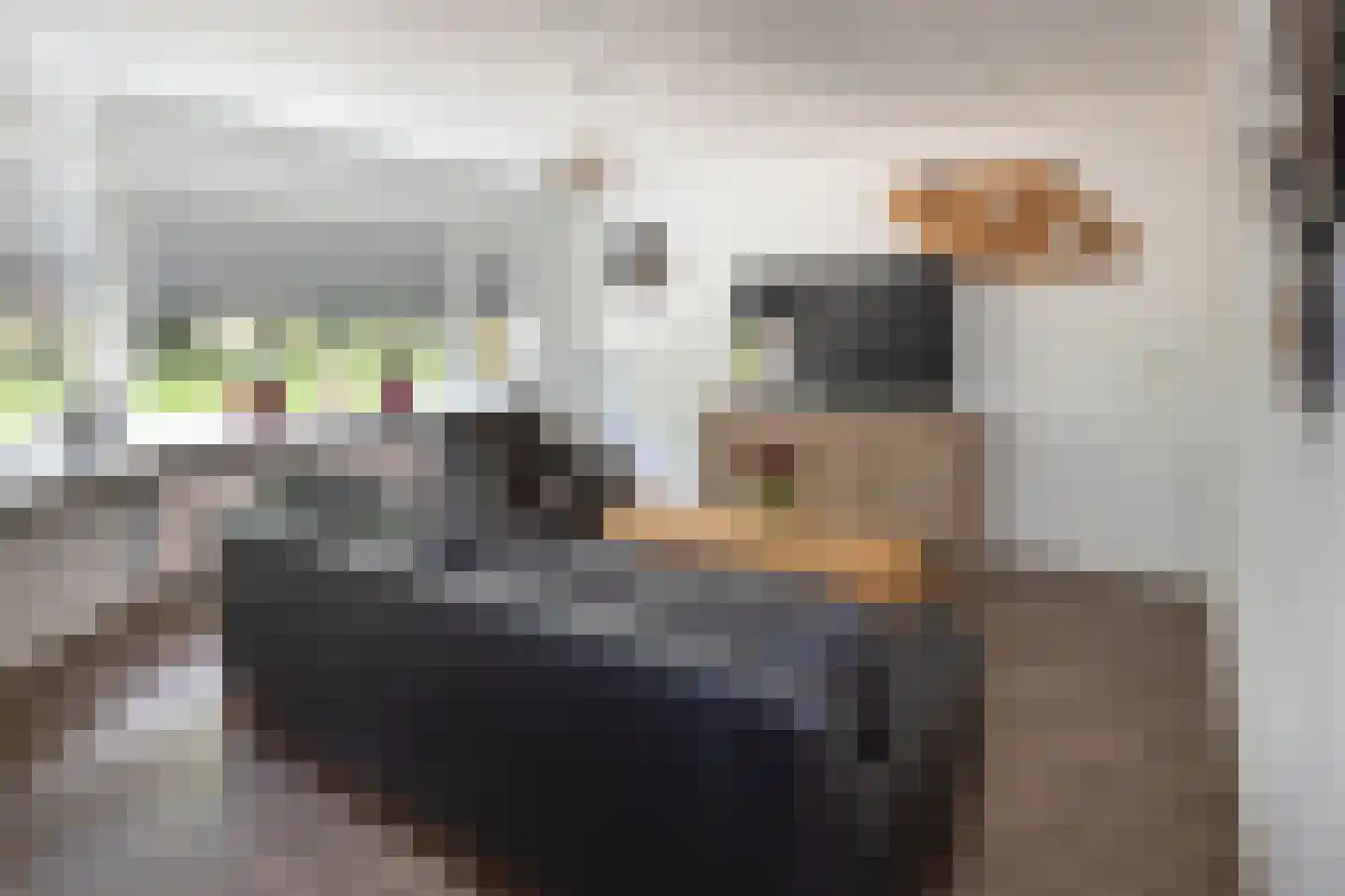 Aaltje Noordewierstraat 117 Hengelo thumbnail 4
