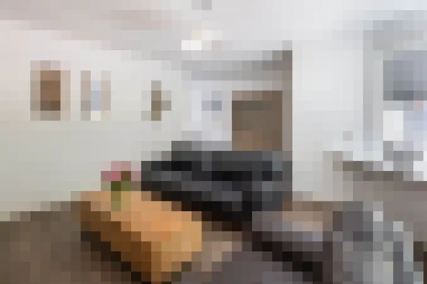 Aaltje Noordewierstraat 117 Hengelo thumbnail 5