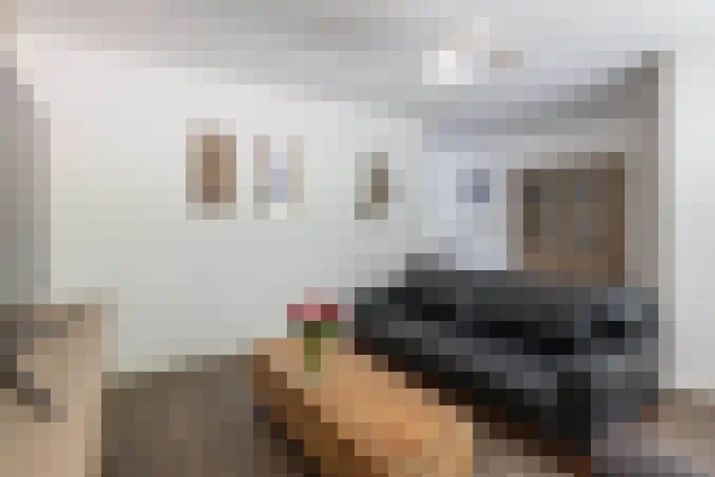 Aaltje Noordewierstraat 117 Hengelo thumbnail 6