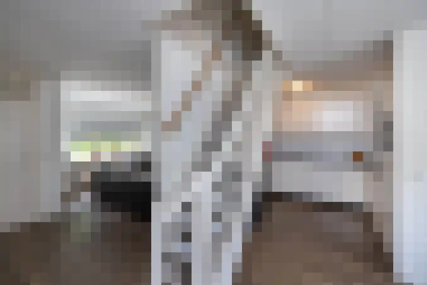 Aaltje Noordewierstraat 117 Hengelo thumbnail 8