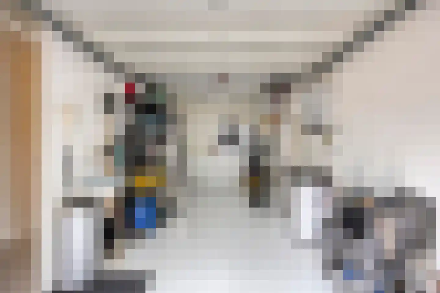 Aaltje Noordewierstraat 142 Den Haag thumbnail 10