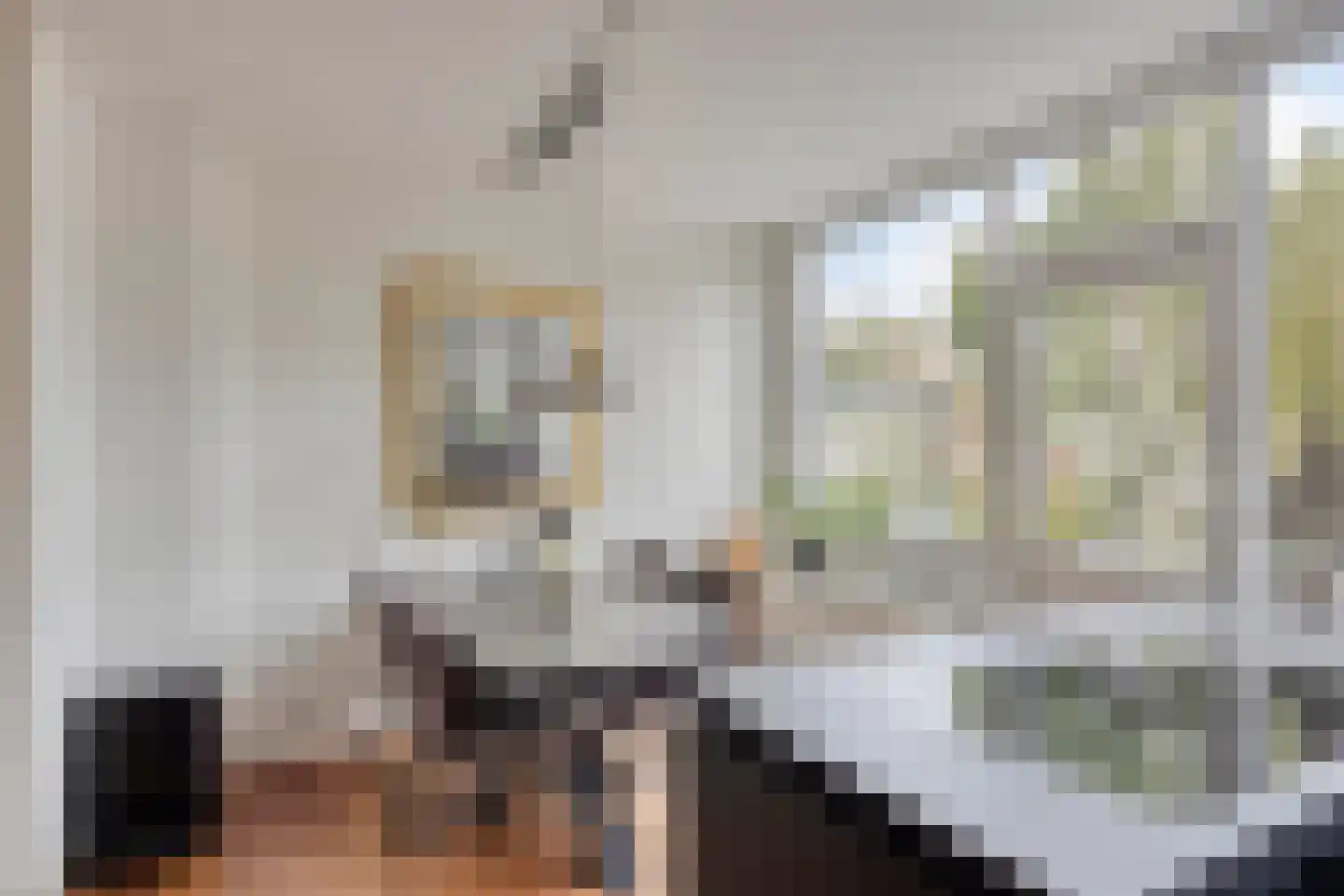 Aaltje Noordewierstraat 142 Den Haag thumbnail 22