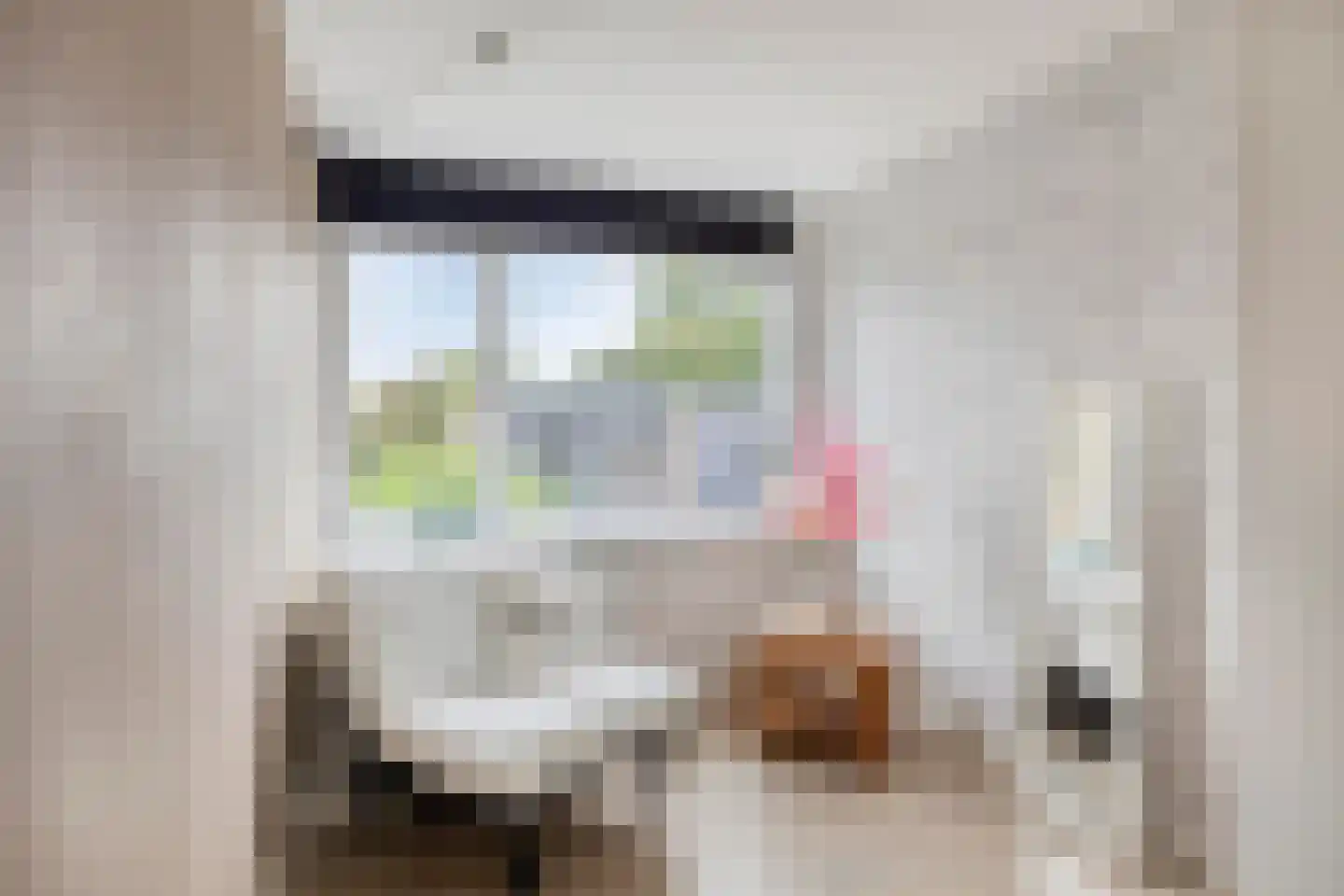 Aaltje Noordewierstraat 142 Den Haag thumbnail 38