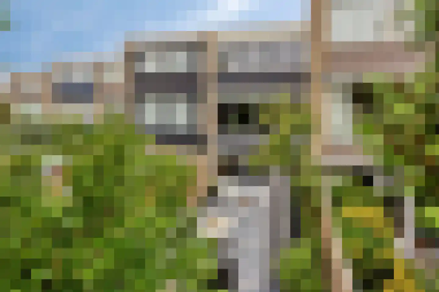 Aaltje Noordewierstraat 142 Den Haag thumbnail 44