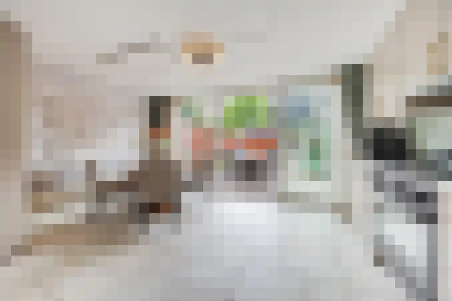 Aaltje Noordewierstraat 144 Den Haag thumbnail 18