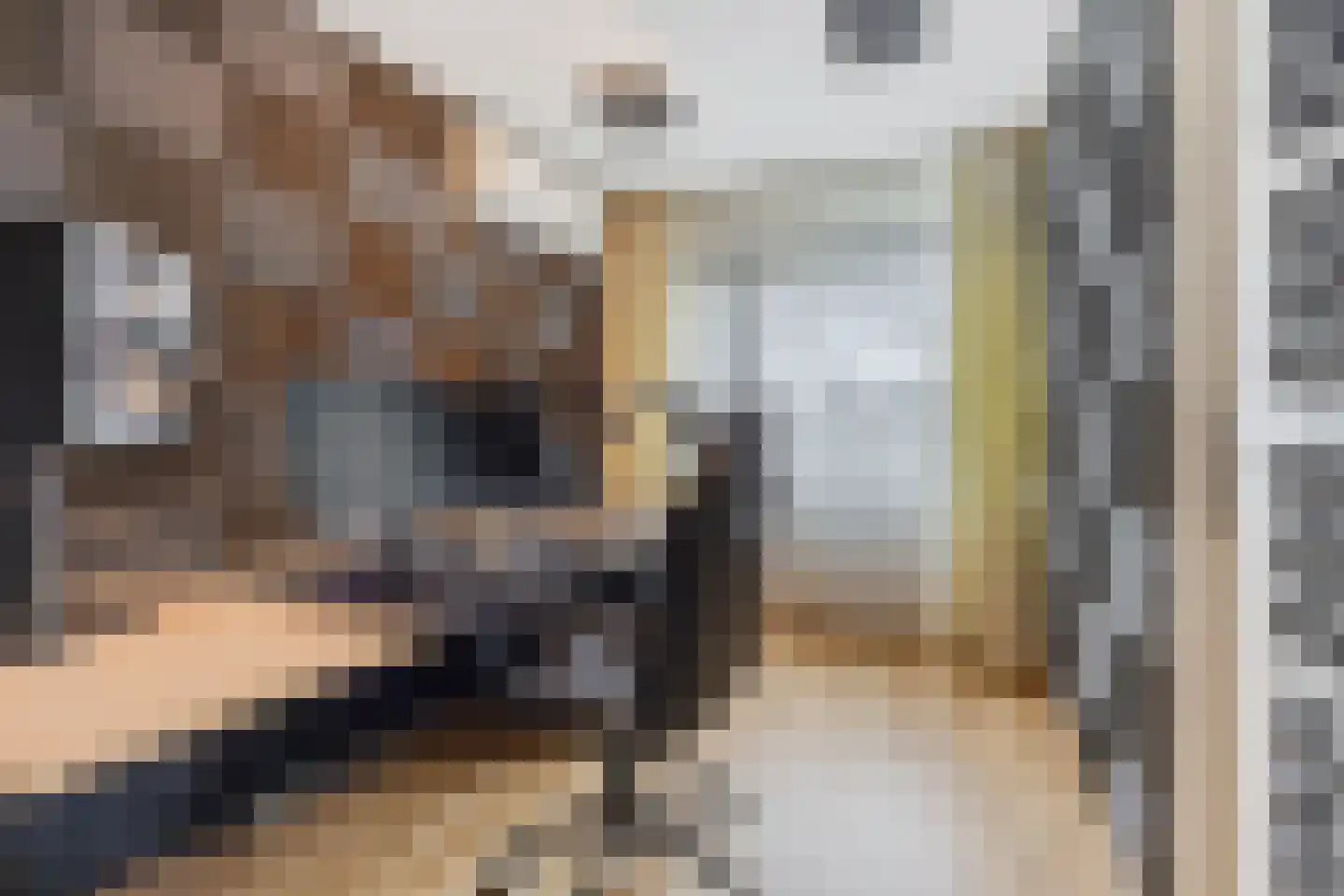 Aaltje Noordewierstraat 144 Den Haag thumbnail 35