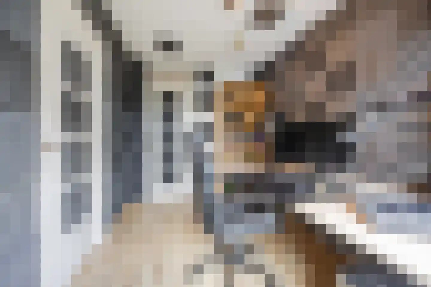 Aaltje Noordewierstraat 144 Den Haag thumbnail 36