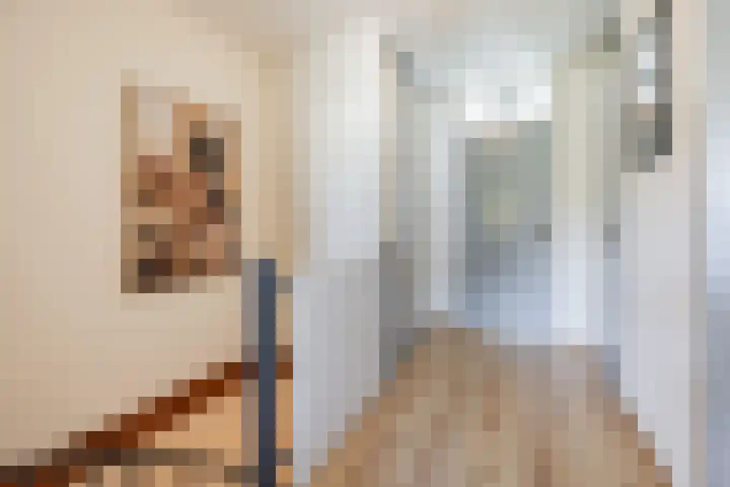 Aaltje Noordewierstraat 144 Den Haag thumbnail 42