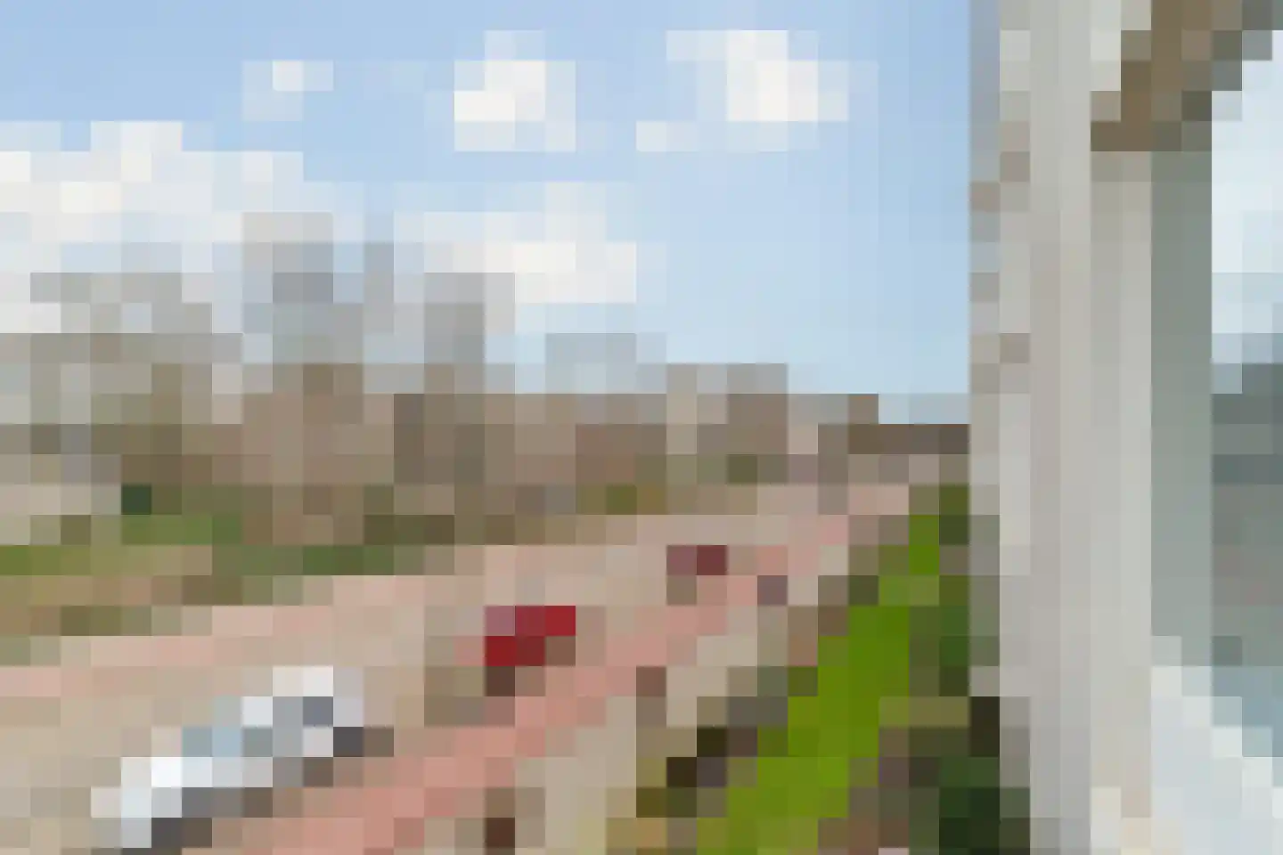 Aaltje Noordewierstraat 23 Den Haag thumbnail 11