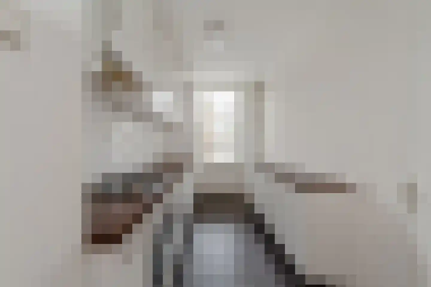 Aaltje Noordewierstraat 23 Den Haag thumbnail 13
