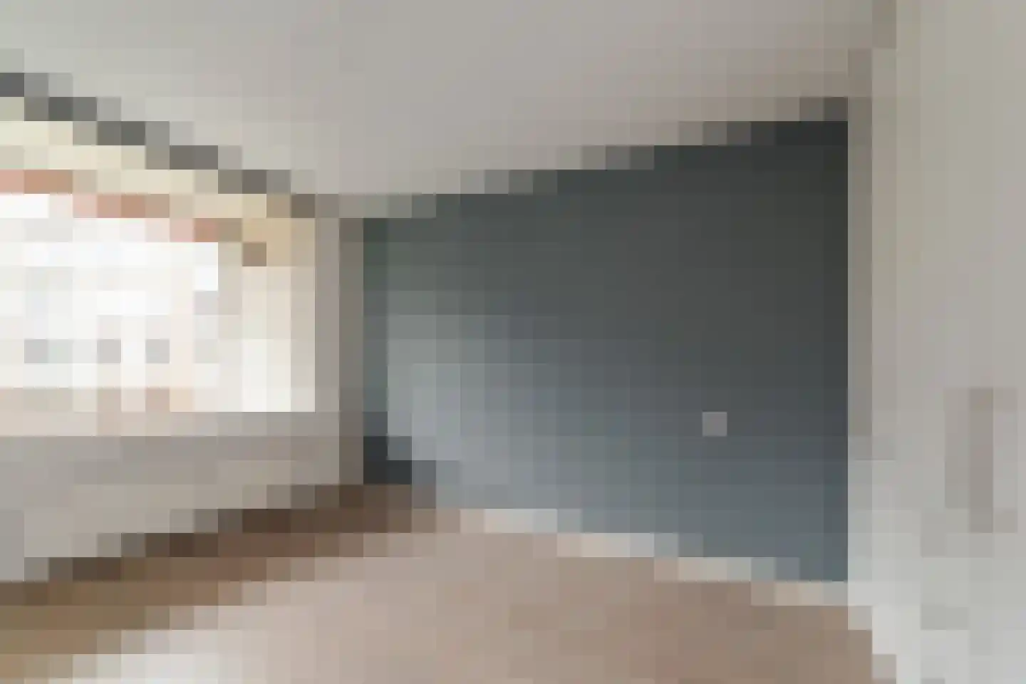 Aaltje Noordewierstraat 23 Den Haag thumbnail 16