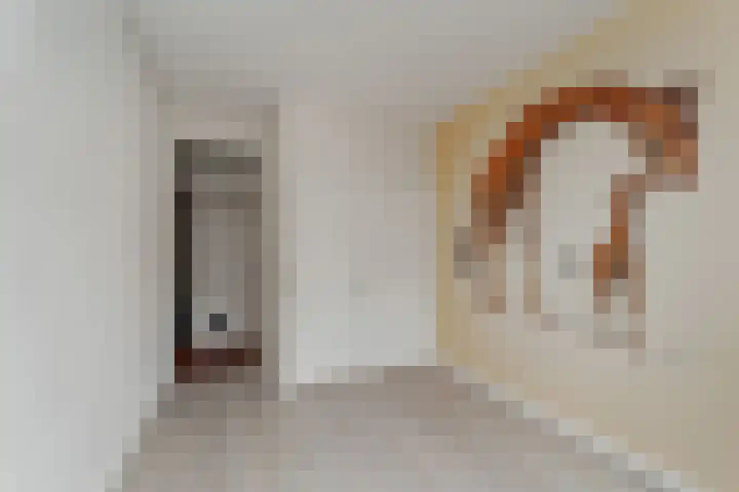 Aaltje Noordewierstraat 23 Den Haag thumbnail 21