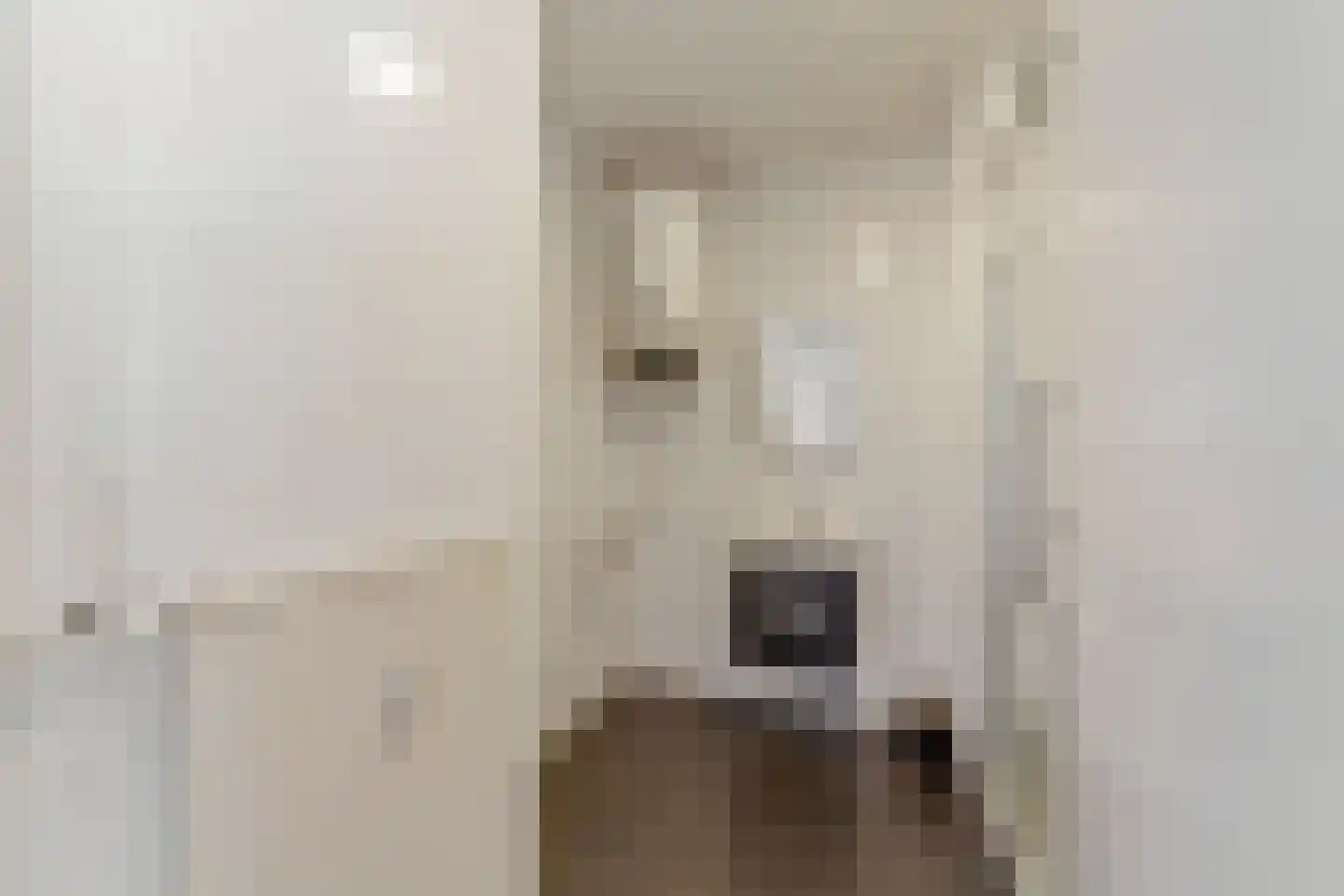 Aaltje Noordewierstraat 23 Den Haag thumbnail 22