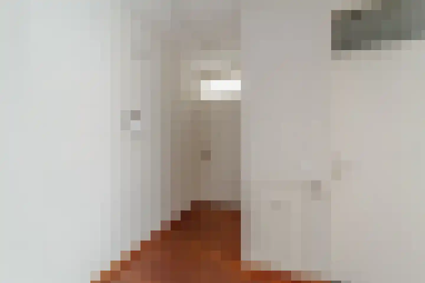 Aaltje Noordewierstraat 23 Den Haag thumbnail 24