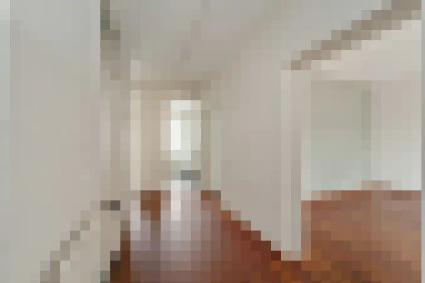Aaltje Noordewierstraat 23 Den Haag thumbnail 4