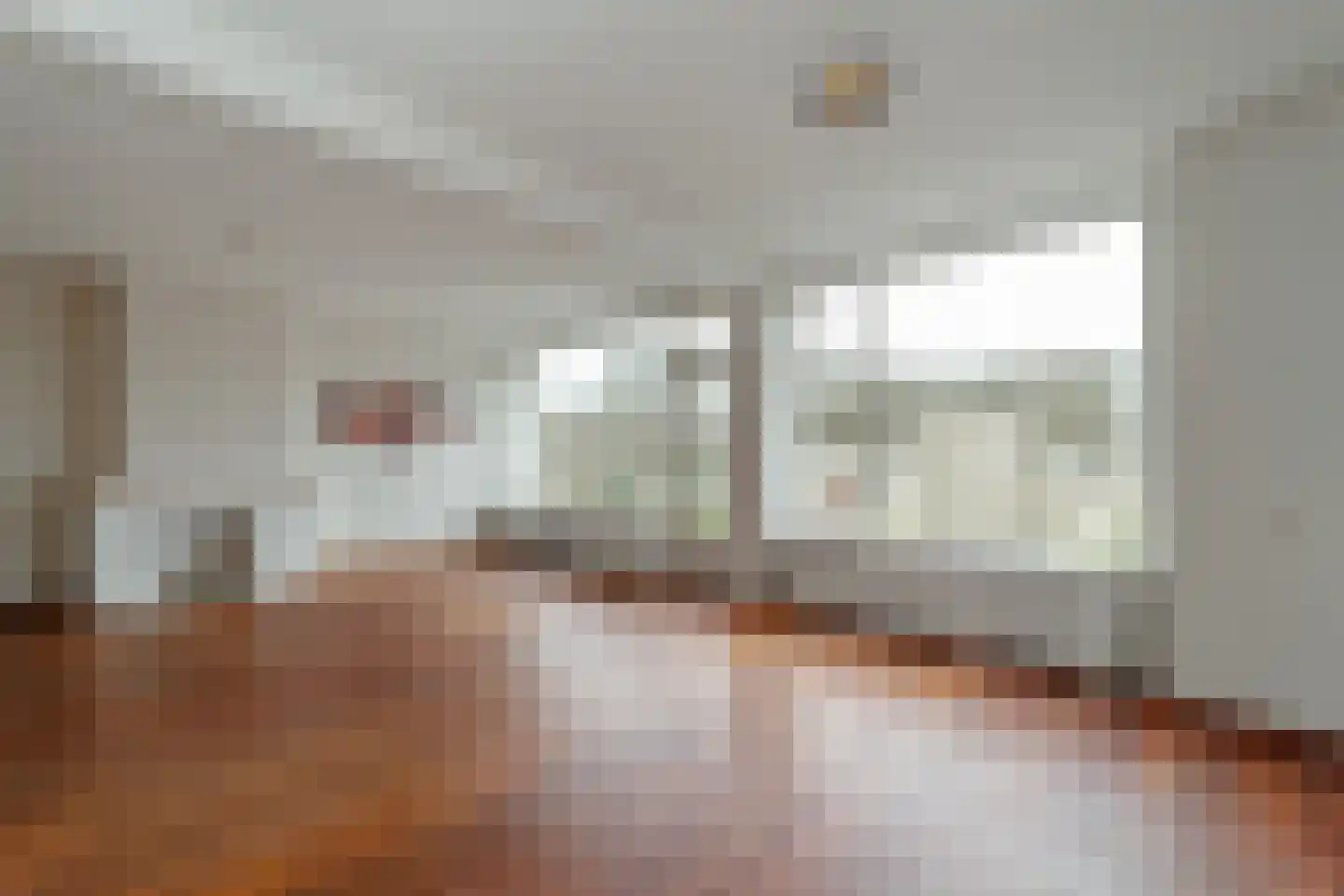 Aaltje Noordewierstraat 23 Den Haag thumbnail 9