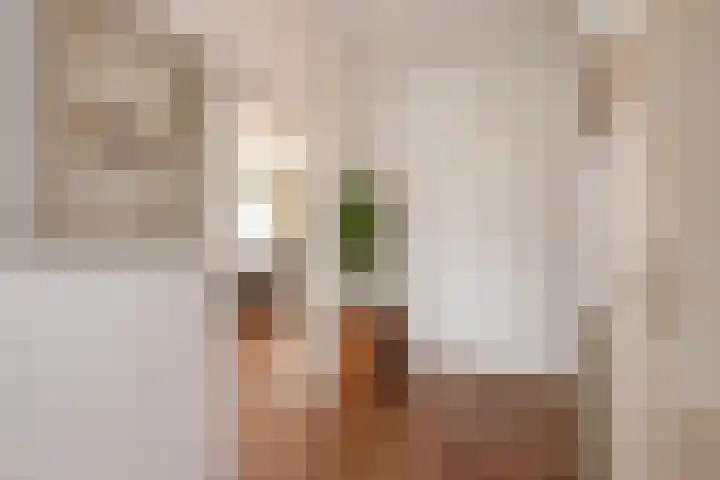 Aaltje Noordewierstraat 25 Den Haag thumbnail 11