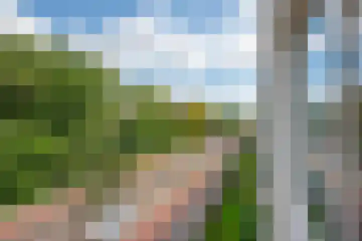Aaltje Noordewierstraat 25 Den Haag thumbnail 5