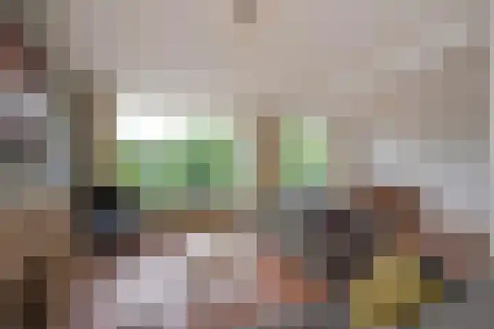 Aaltje Noordewierstraat 25 Den Haag thumbnail 7