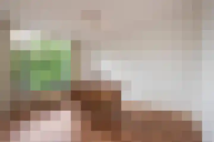 Aaltje Noordewierstraat 25 Den Haag thumbnail 9