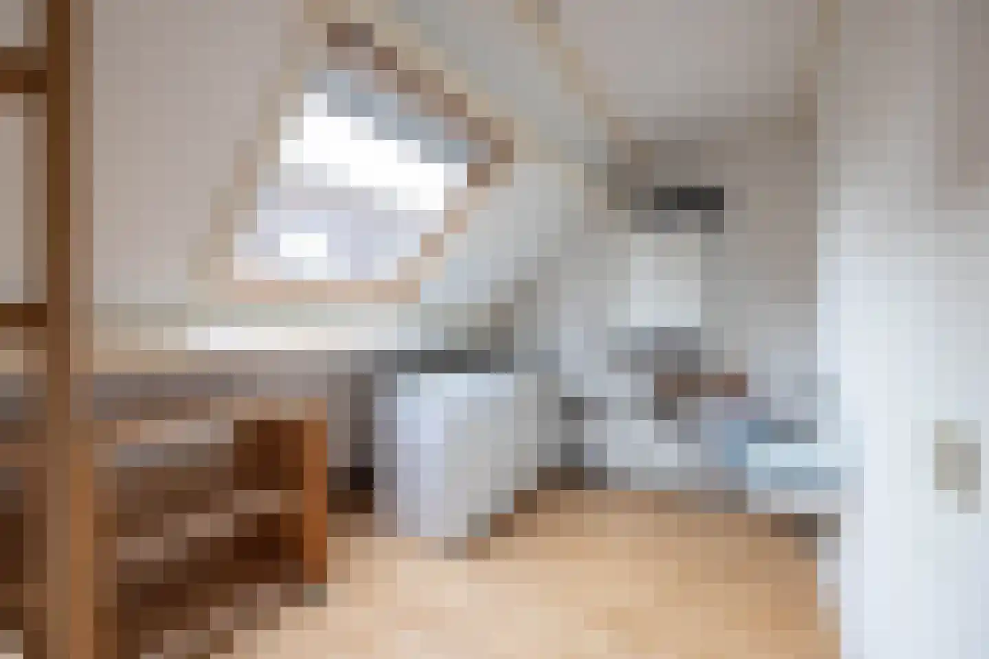 Aaltje Noordewierstraat 38 Hengelo thumbnail 18
