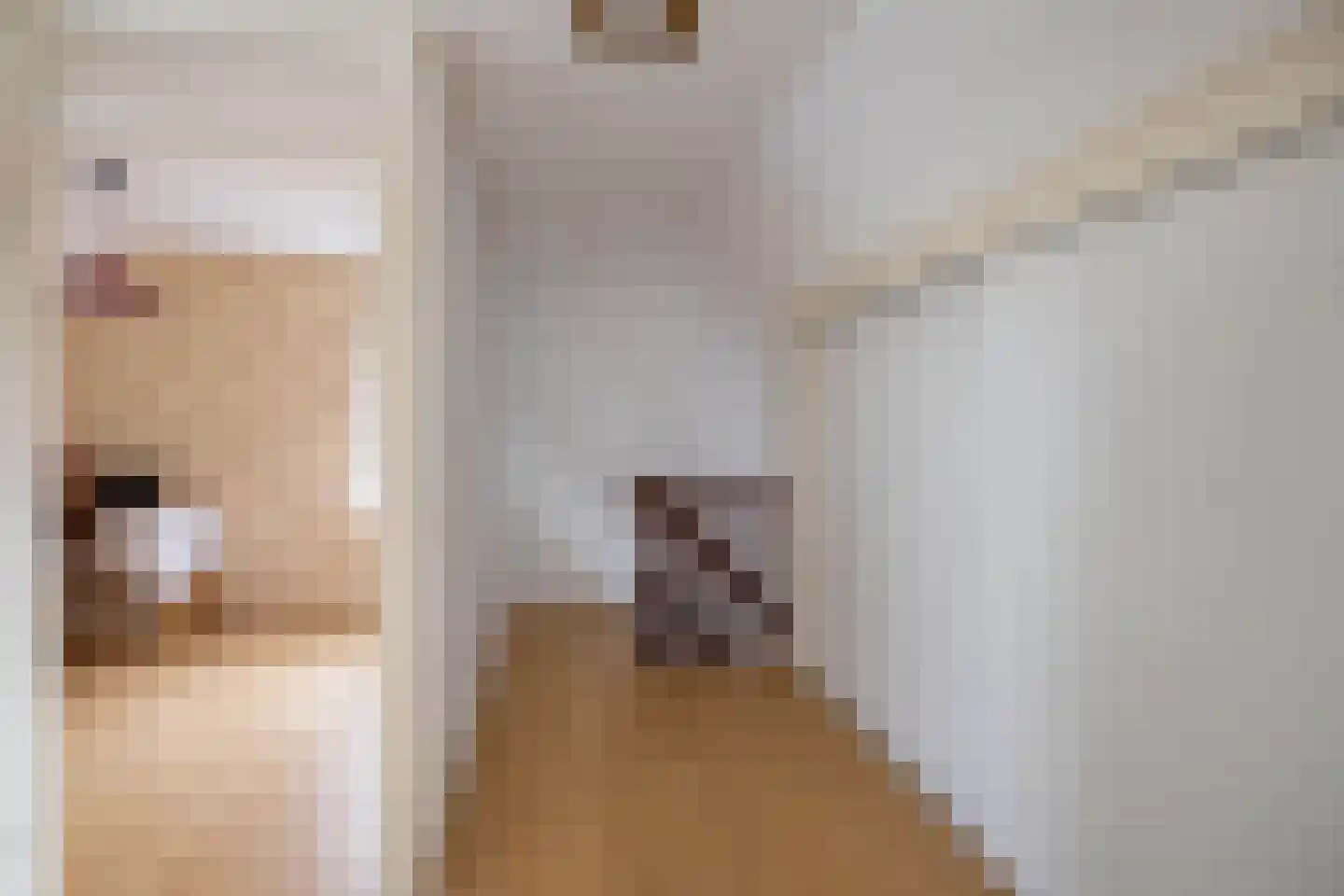 Aaltje Noordewierstraat 38 Hengelo thumbnail 19