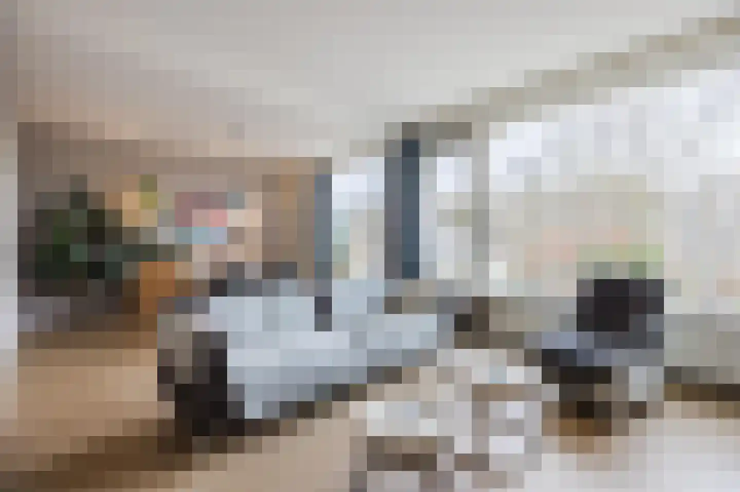 Aaltje Noordewierstraat 51 Den Haag thumbnail 11