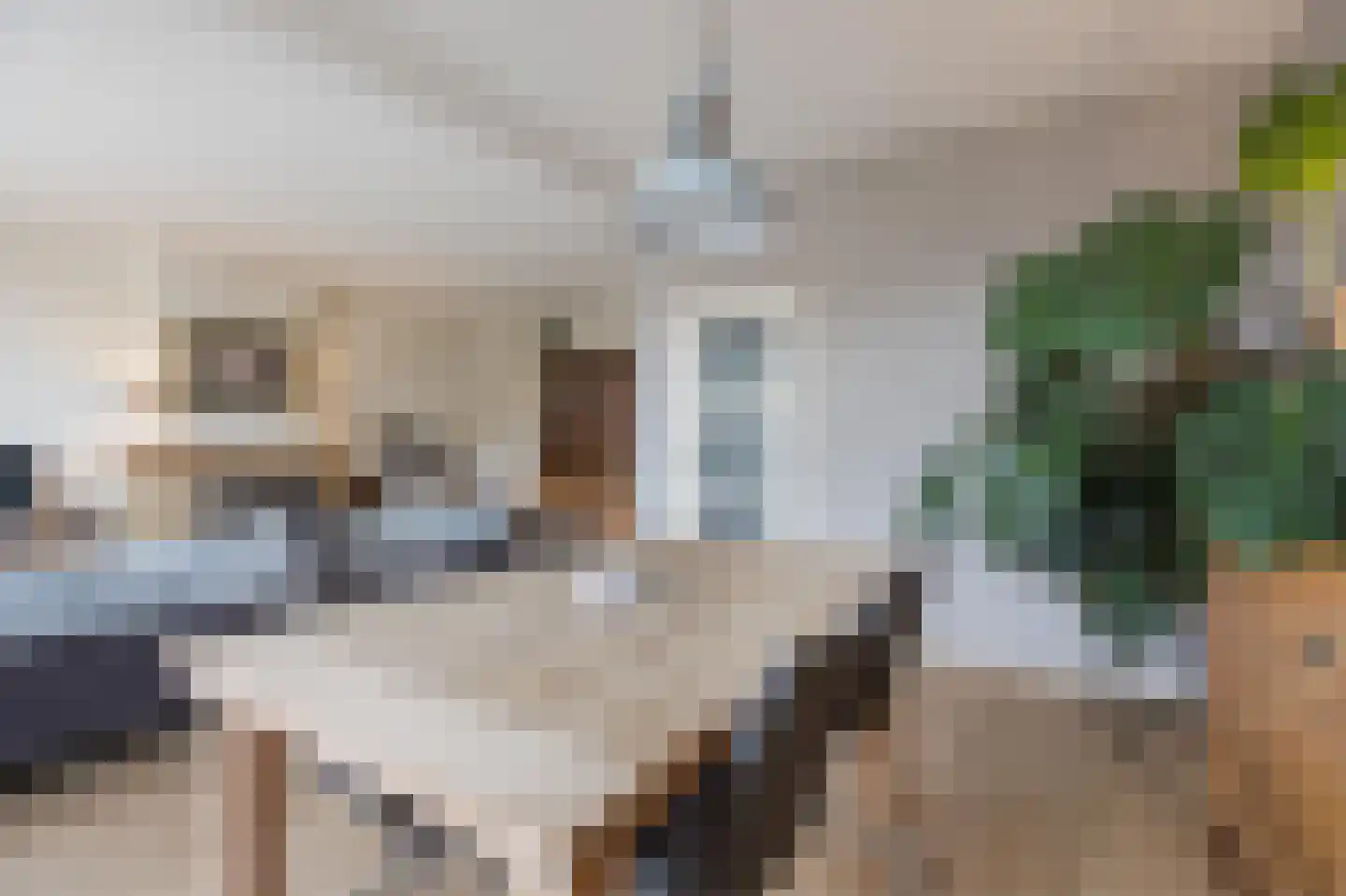 Aaltje Noordewierstraat 51 Den Haag thumbnail 16