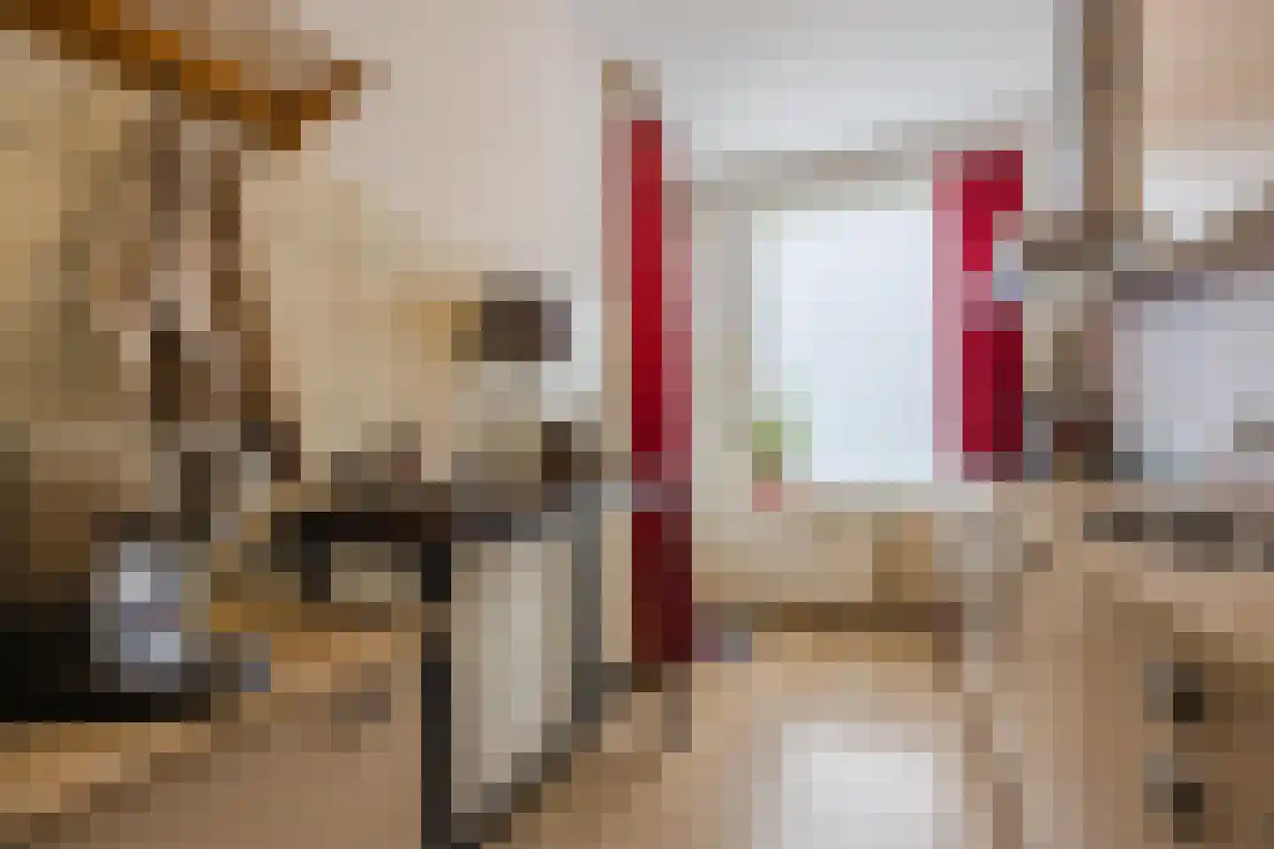 Aaltje Noordewierstraat 51 Den Haag thumbnail 18