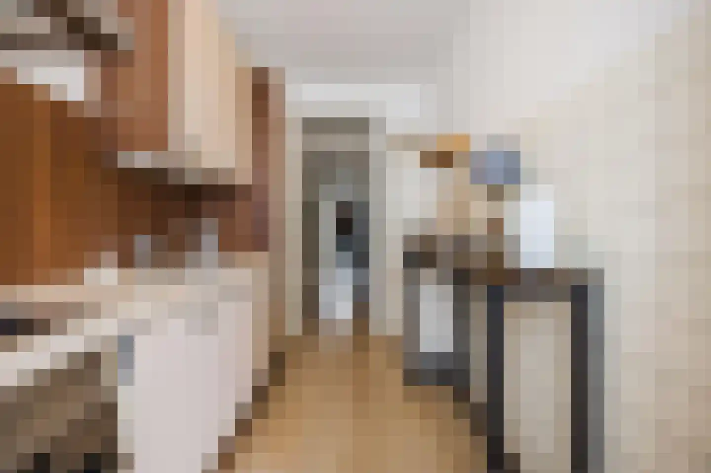 Aaltje Noordewierstraat 51 Den Haag thumbnail 20