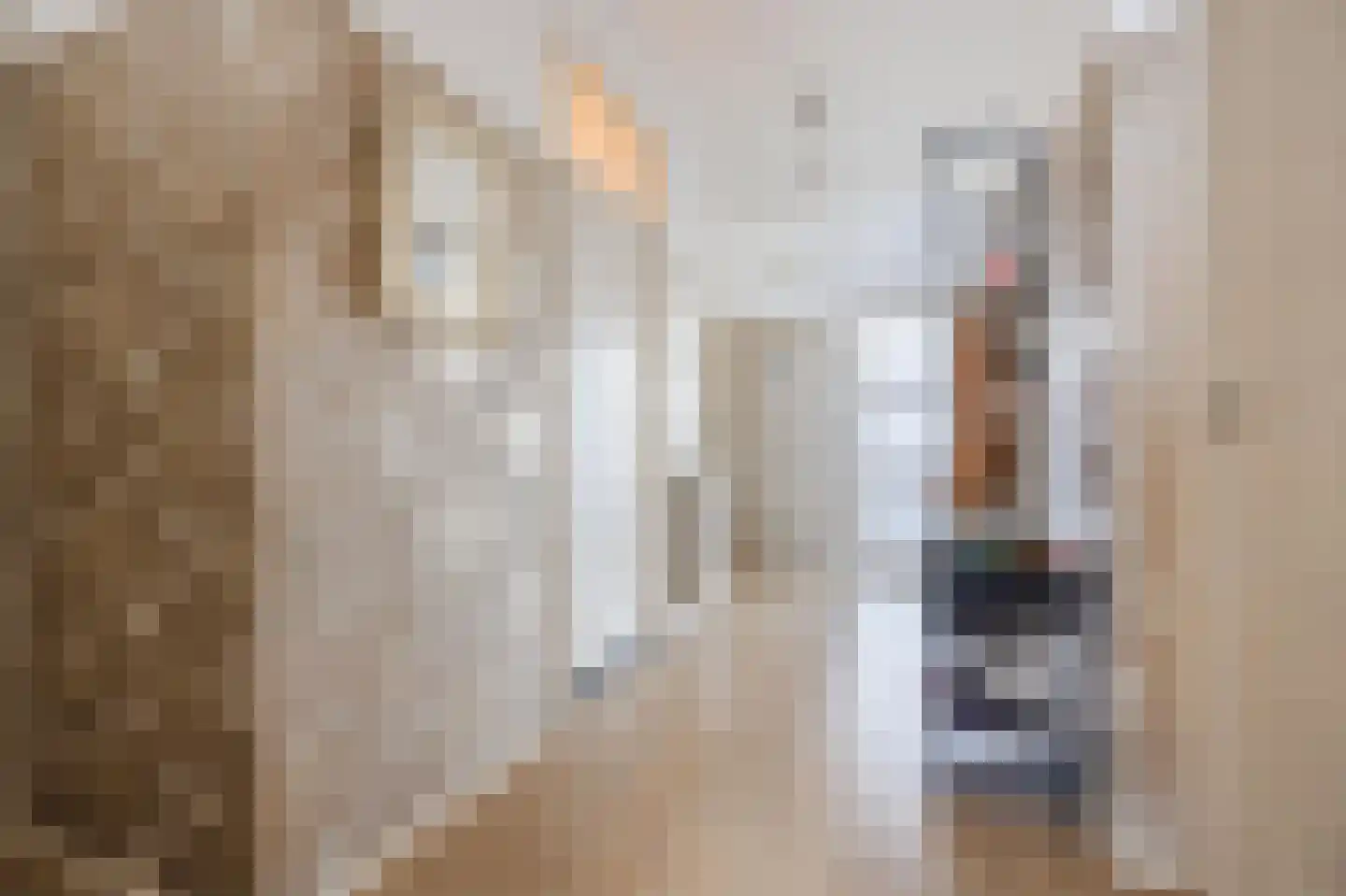 Aaltje Noordewierstraat 51 Den Haag thumbnail 22