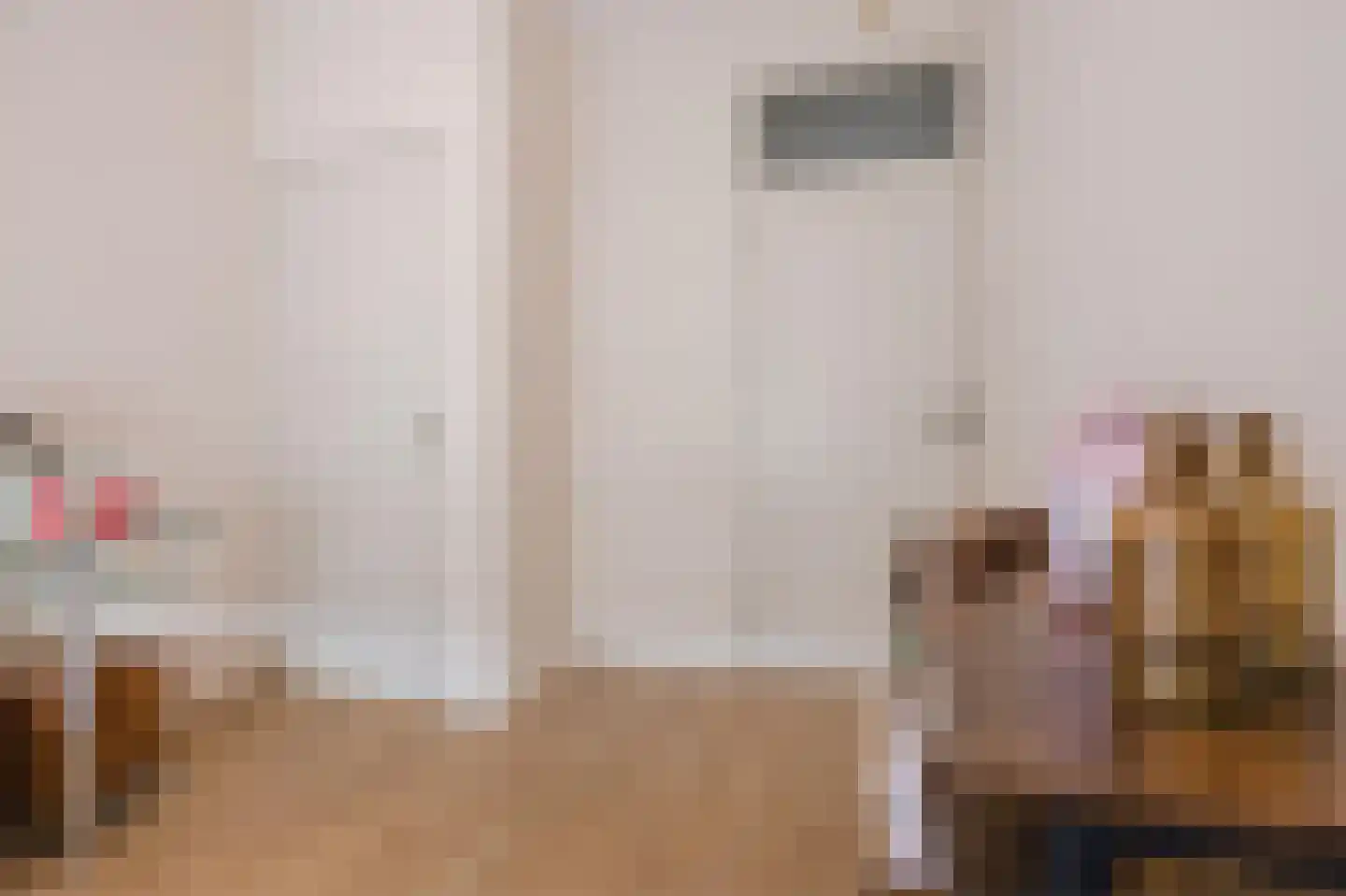 Aaltje Noordewierstraat 51 Den Haag thumbnail 31