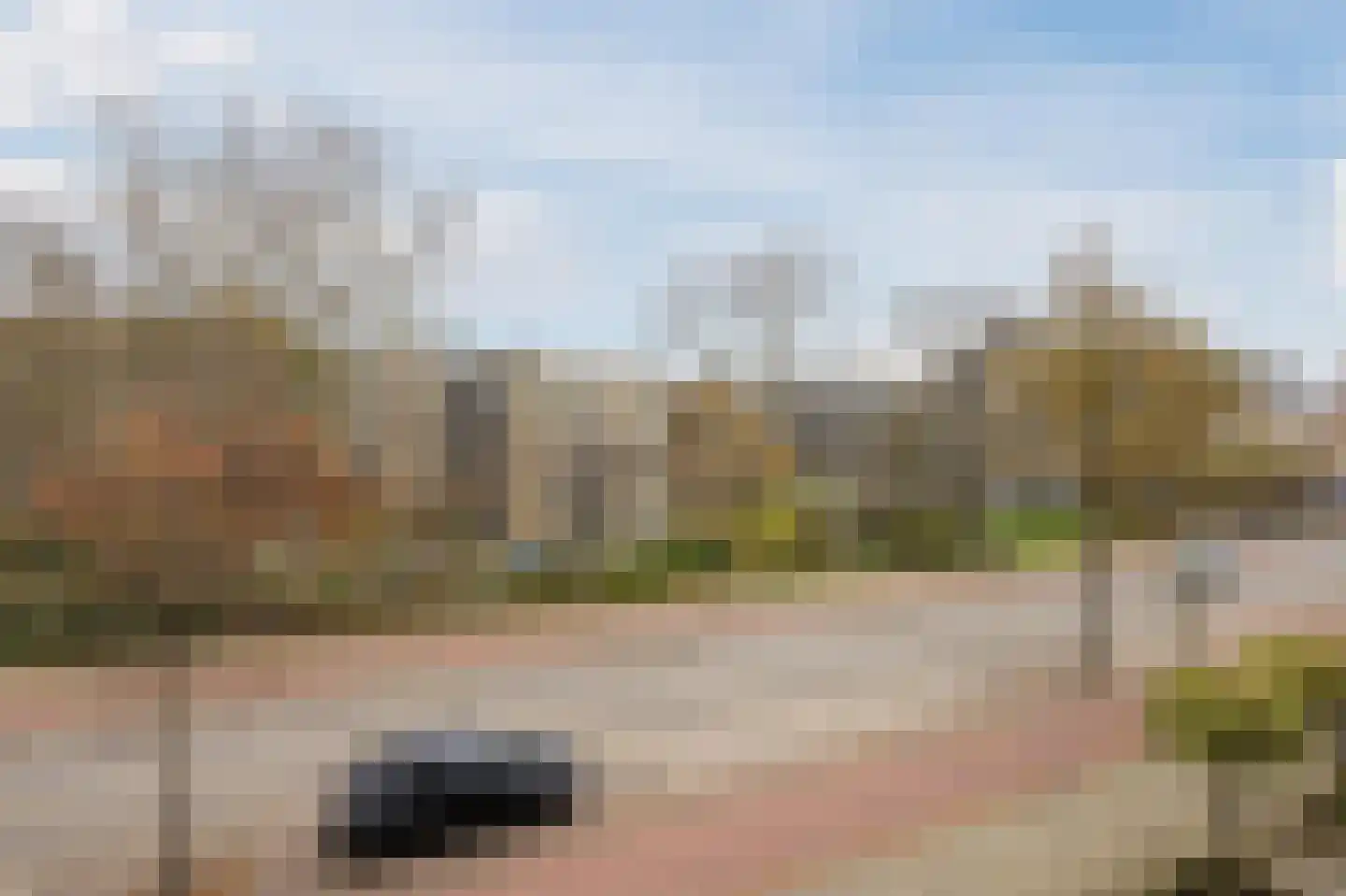 Aaltje Noordewierstraat 51 Den Haag thumbnail 36
