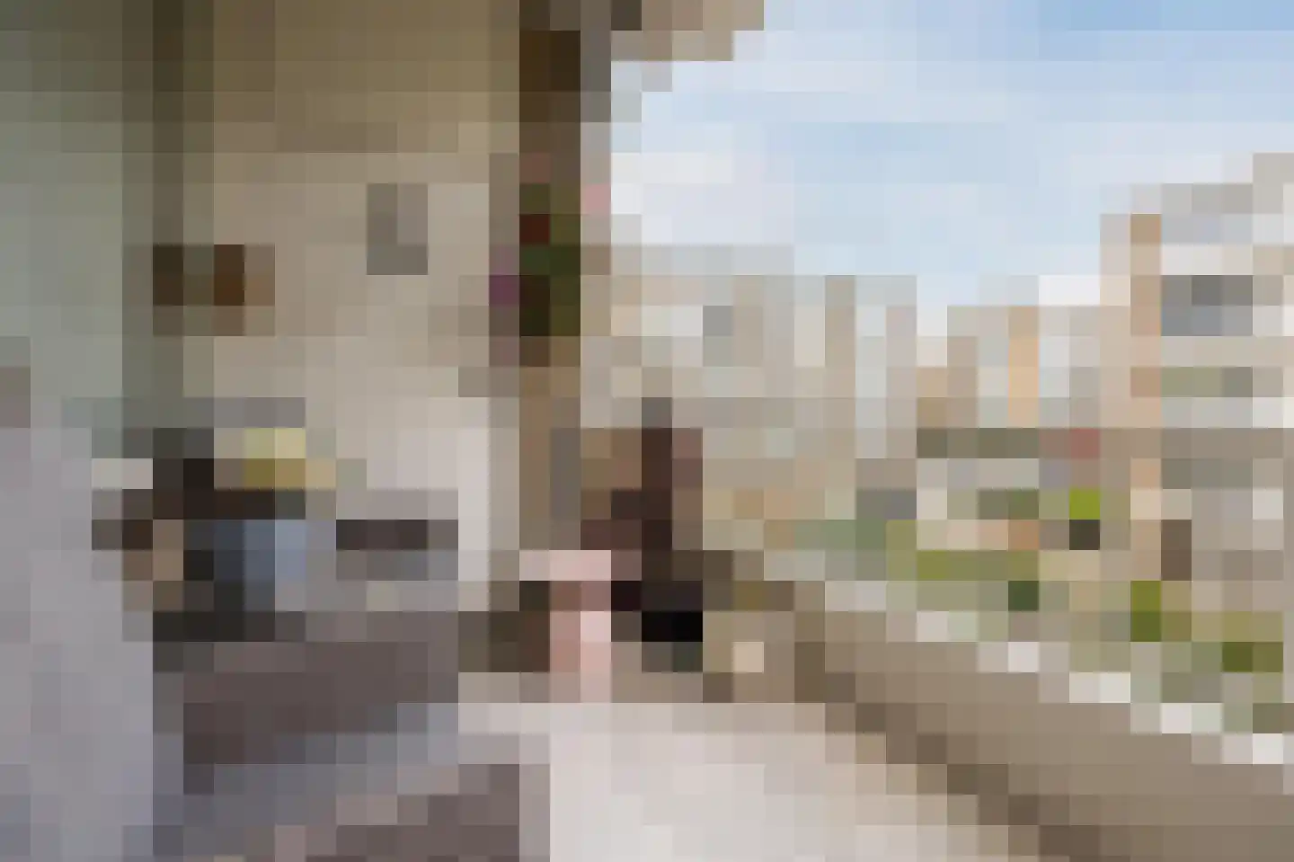 Aaltje Noordewierstraat 51 Den Haag thumbnail 37