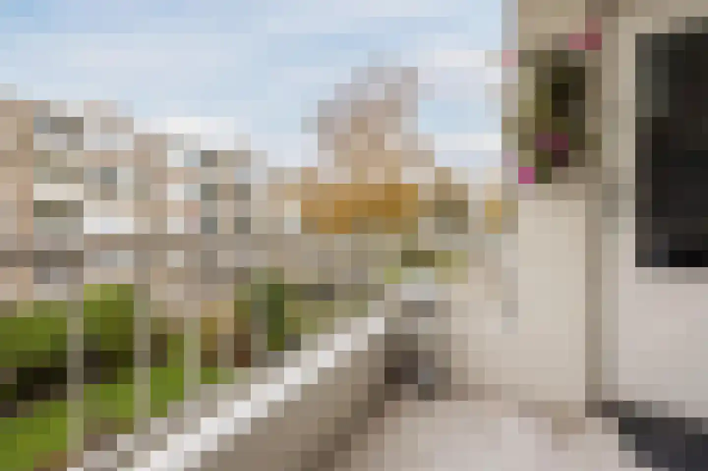 Aaltje Noordewierstraat 51 Den Haag thumbnail 39