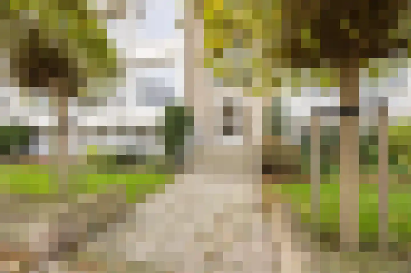 Aaltje Noordewierstraat 51 Den Haag thumbnail 4