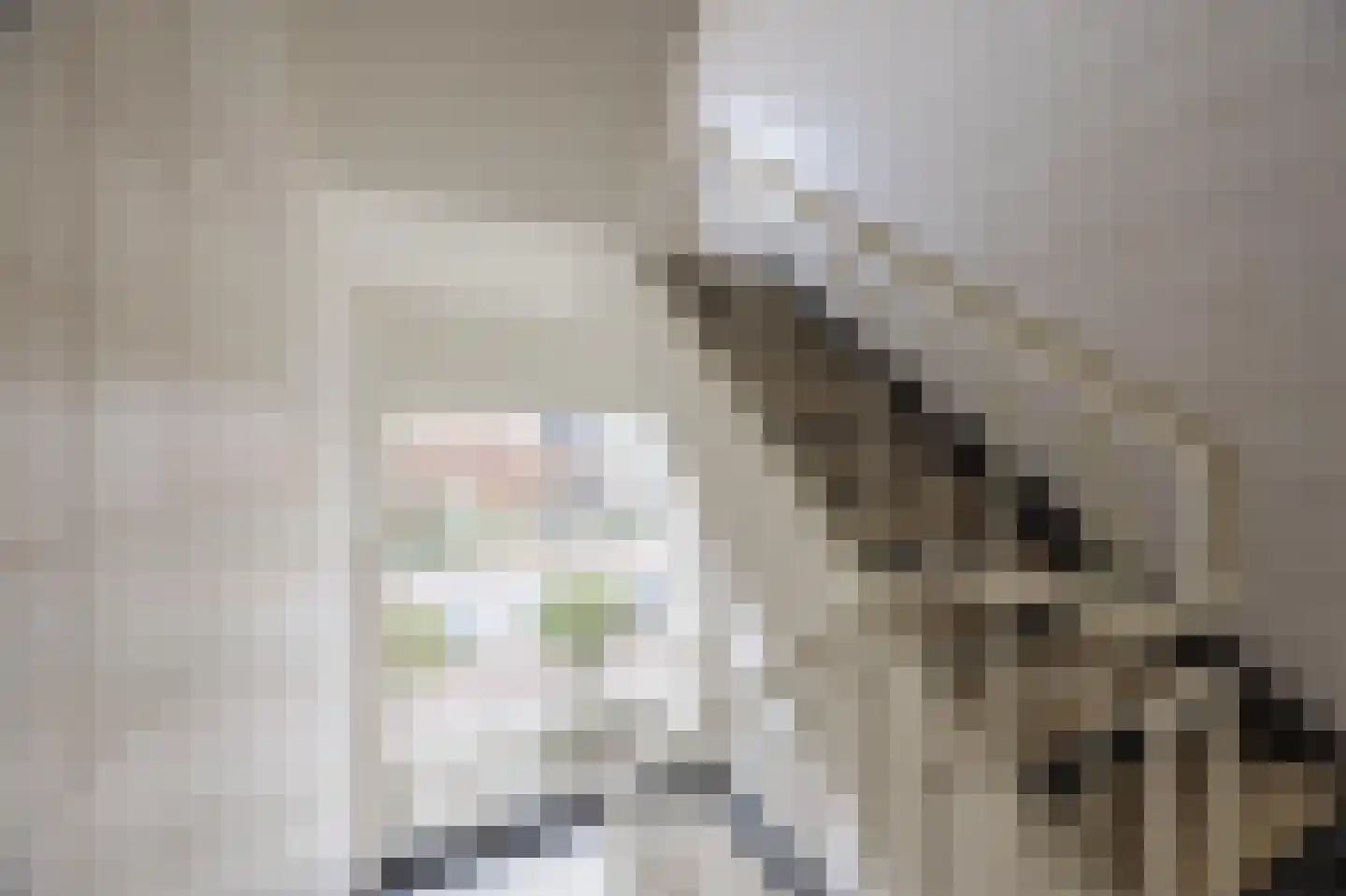 Aaltje Noordewierstraat 51 Den Haag thumbnail 7
