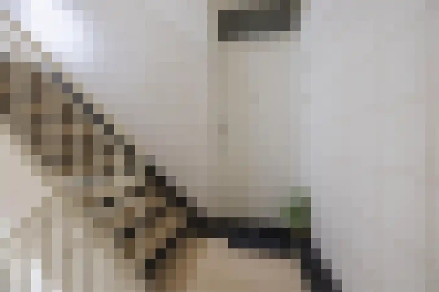 Aaltje Noordewierstraat 51 Den Haag thumbnail 8