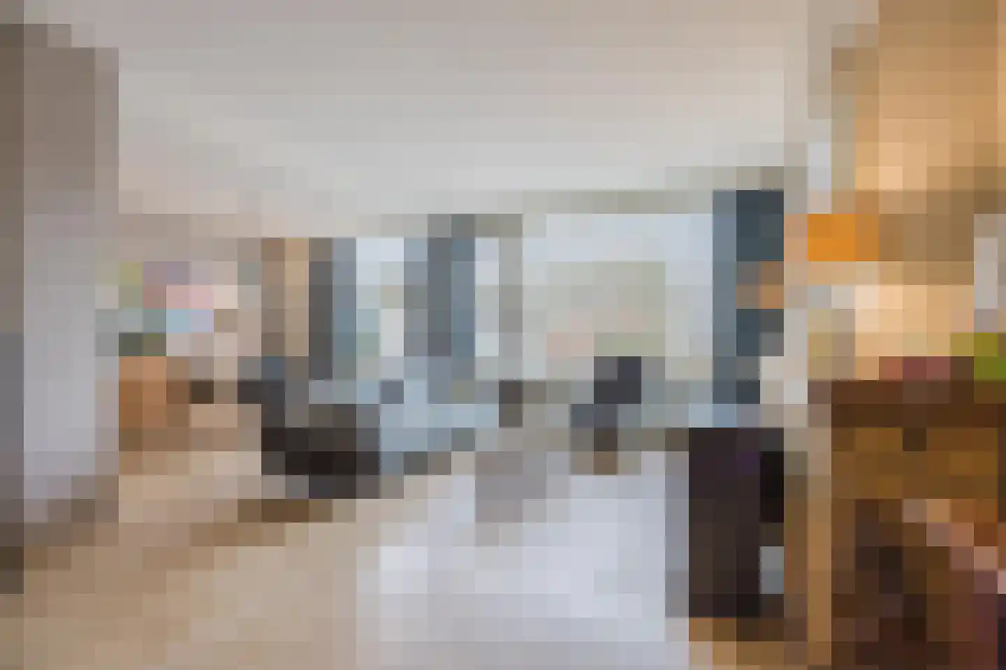 Aaltje Noordewierstraat 51 Den Haag thumbnail 9