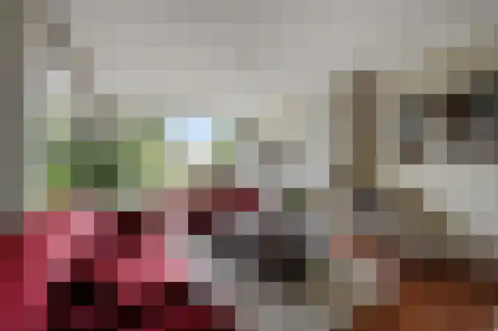 Aaltje Noordewierstraat 53 Den Haag thumbnail 4