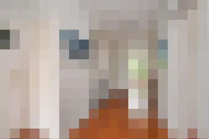 Aaltje Noordewierstraat 53 Den Haag thumbnail 8